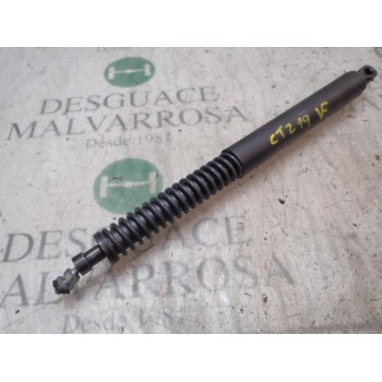 AMORTIGUADORES MALETERO / PORTON 