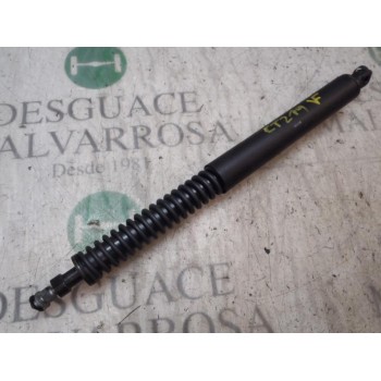 AMORTIGUADORES MALETERO / PORTON 