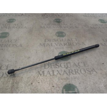 AMORTIGUADORES MALETERO / PORTON 