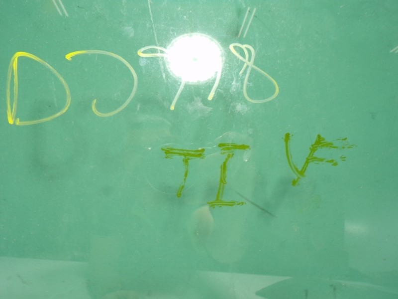 Recambio de cristal puerta trasero izquierdo para seat ibiza (kj1) fr referencia OEM IAM 6F0845025C  