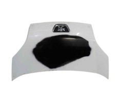 Recambio de capot delantero para peugeot bipper 1.4 hdi referencia OEM IAM   