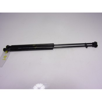 AMORTIGUADORES MALETERO / PORTON 904518604R 904511881R 