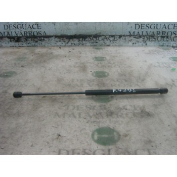 AMORTIGUADORES MALETERO / PORTON 