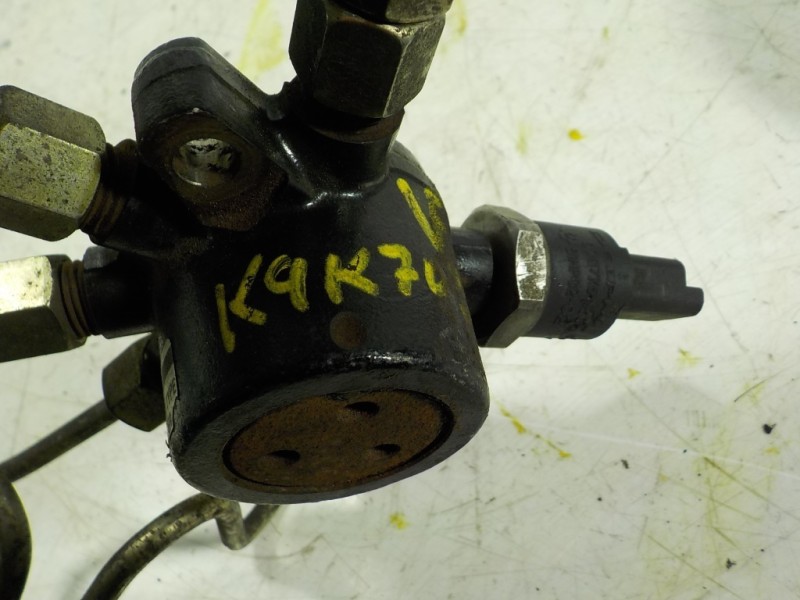 Recambio de rampa inyectora para renault kangoo (f/kc0) 4x4 expression (kc0s/v) referencia OEM IAM   