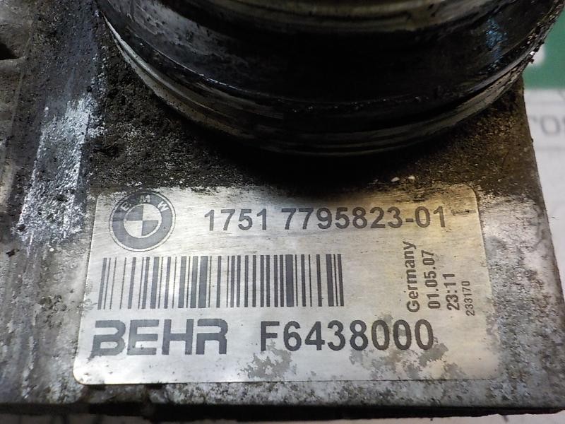 Recambio de intercooler para bmw serie 5 touring (e61) 520d referencia OEM IAM 17517795823 17517795823 F6438000