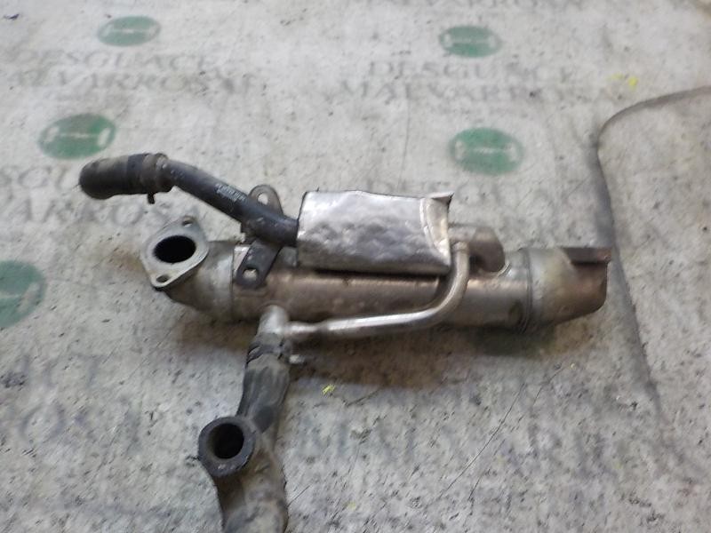 Recambio de enfriador egr para ford mondeo berlina (ge) 2.0 tdci cat referencia OEM IAM   