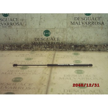 AMORTIGUADORES MALETERO / PORTON 