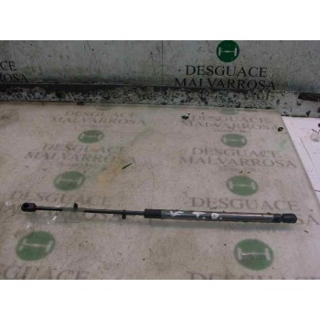 AMORTIGUADORES MALETERO / PORTON 