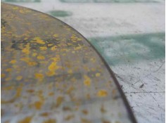 Recambio de disco freno delantero para renault scenic iii 1.5 dci diesel referencia OEM IAM 402060010R   2