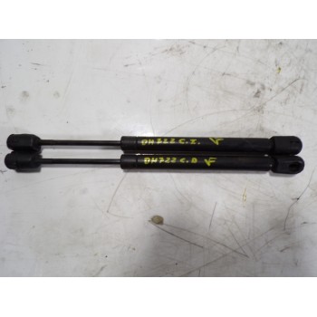 AMORTIGUADOR CAPOT 55396526AB 