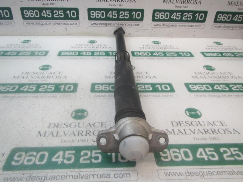 Recambio de amortiguador trasero derecho para volkswagen golf vii lim. (5g1) bluemotion referencia OEM IAM  5Q0512013EK 
