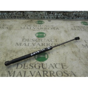 AMORTIGUADORES MALETERO / PORTON 