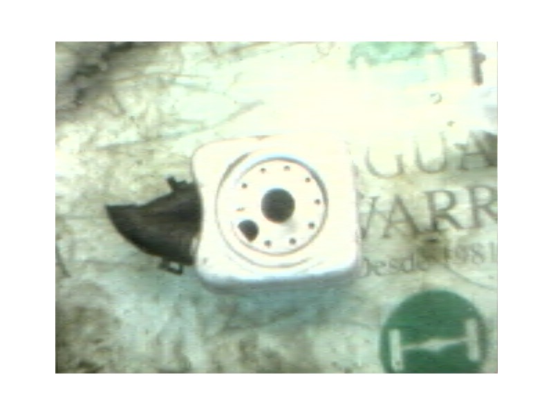 Recambio de enfriador aceite motor para seat ibiza (6k1) 1.9 tdi referencia OEM IAM   