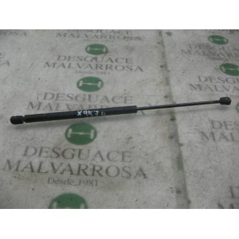 AMORTIGUADORES MALETERO / PORTON 