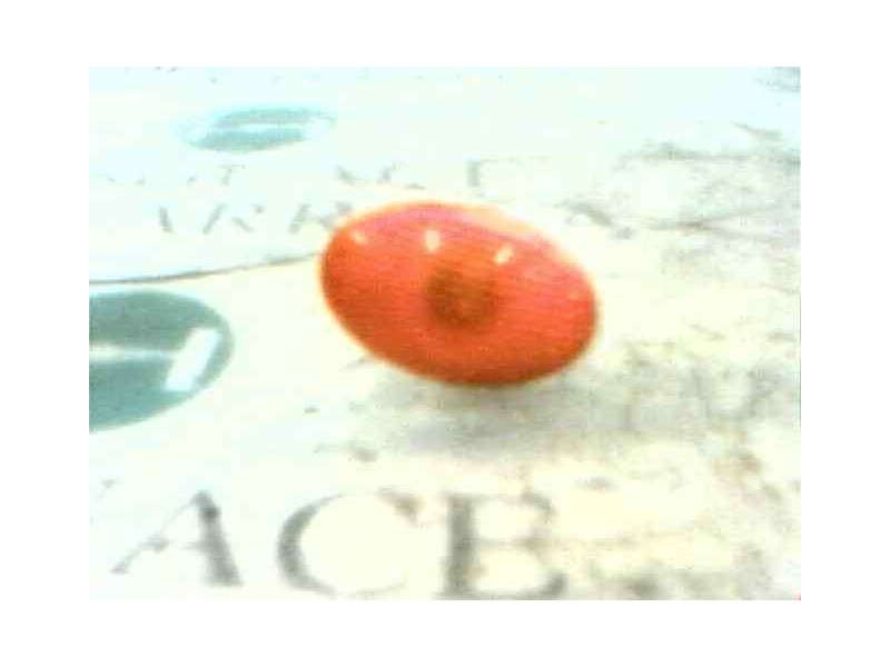 Recambio de piloto lateral derecho para ford fiesta berl./courier referencia OEM IAM   