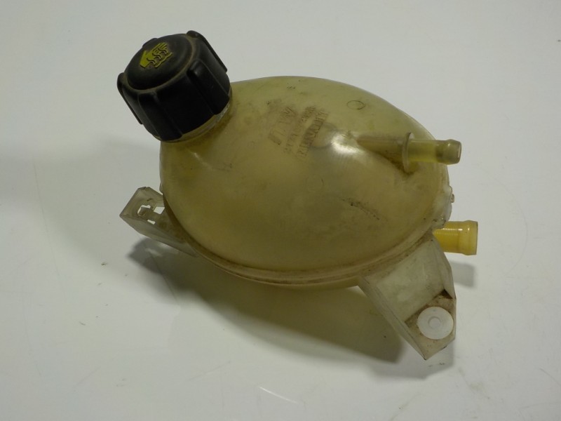 Recambio de deposito expansion para dacia lodgy 1.2 16v tce cat referencia OEM IAM 217104354R  