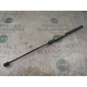 AMORTIGUADORES MALETERO / PORTON 