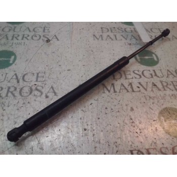 AMORTIGUADORES MALETERO / PORTON 