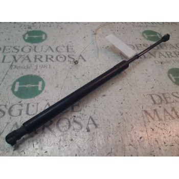 AMORTIGUADORES MALETERO / PORTON 