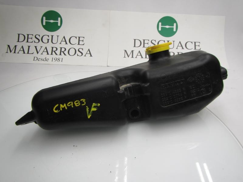 Recambio de deposito limpia para dacia sandero 1.5 dci diesel fap cat referencia OEM IAM 289101168R  