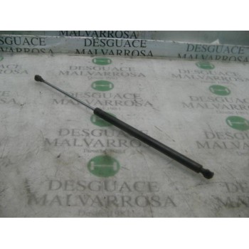 AMORTIGUADORES MALETERO / PORTON 