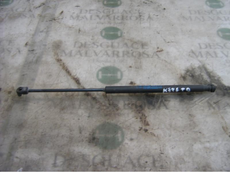 Recambio de amortiguadores maletero / porton para lancia ypsilon (101) 1.3 16v multijet argento referencia OEM IAM   