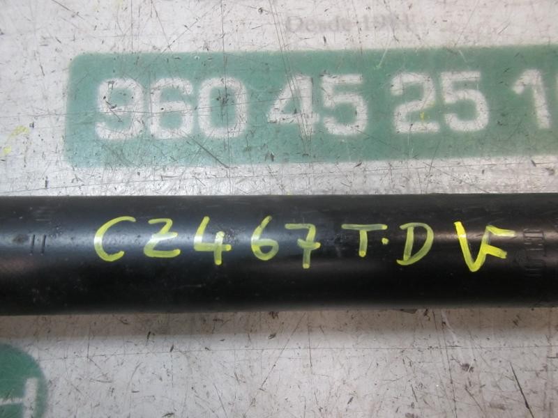 Recambio de amortiguador trasero derecho para renault clio iii expression referencia OEM IAM   