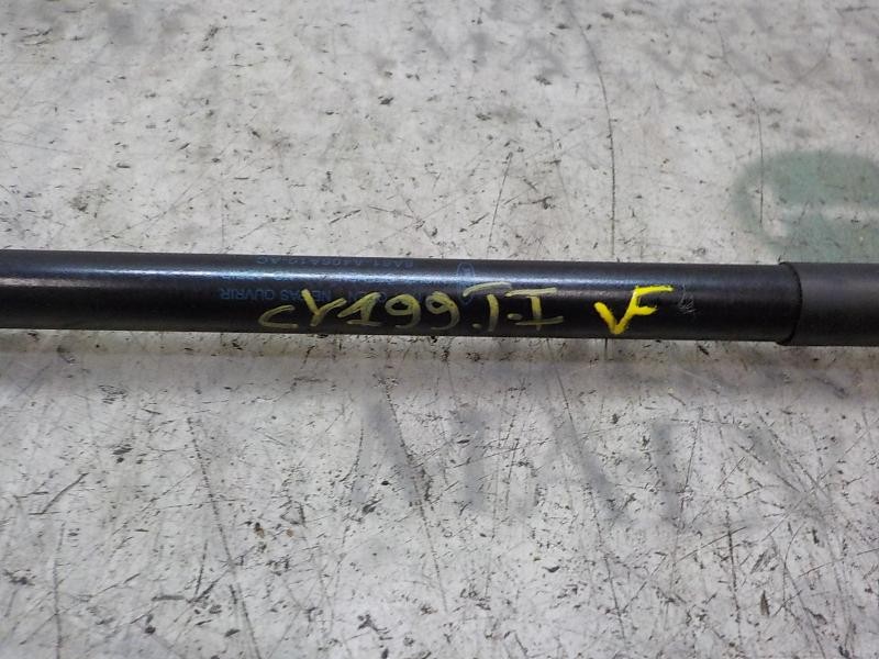 Recambio de amortiguadores maletero / porton para ford fiesta (ccn) trend referencia OEM IAM   