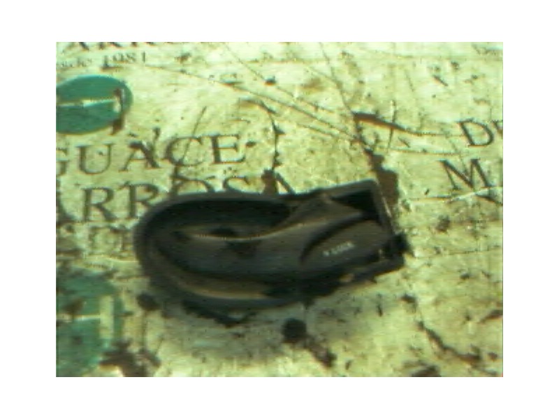 Recambio de maneta interior delantera derecha para ford focus berlina (cak) ghia referencia OEM IAM   