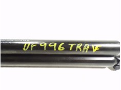 Recambio de amortiguadores maletero / porton para fiat tipo ii (357) berlina 1.4 referencia OEM IAM 52090772 520907720  2