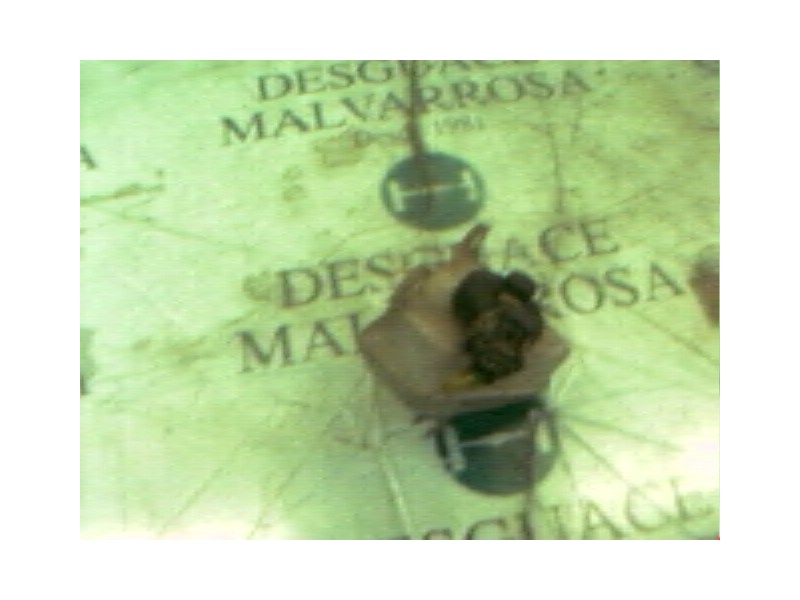 Recambio de deposito servo para ford focus berlina (cak) ghia referencia OEM IAM   