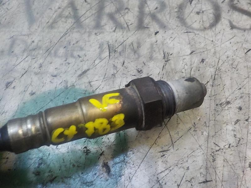 Recambio de sonda lambda para seat ibiza (6k1) 1.4 referencia OEM IAM   