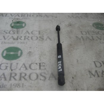 AMORTIGUADORES MALETERO / PORTON 