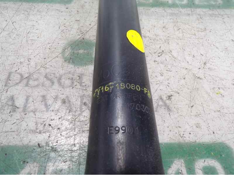 Recambio de amortiguador trasero derecho para ford transit courier ambiente referencia OEM IAM 1940675 EY1618080FA 