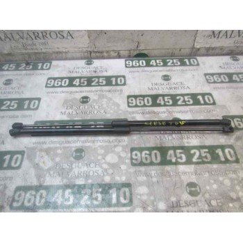 AMORTIGUADORES MALETERO / PORTON 13428038 