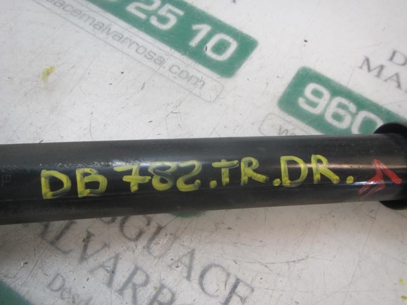 Recambio de amortiguador trasero derecho para dacia sandero básico referencia OEM IAM 8200953294  