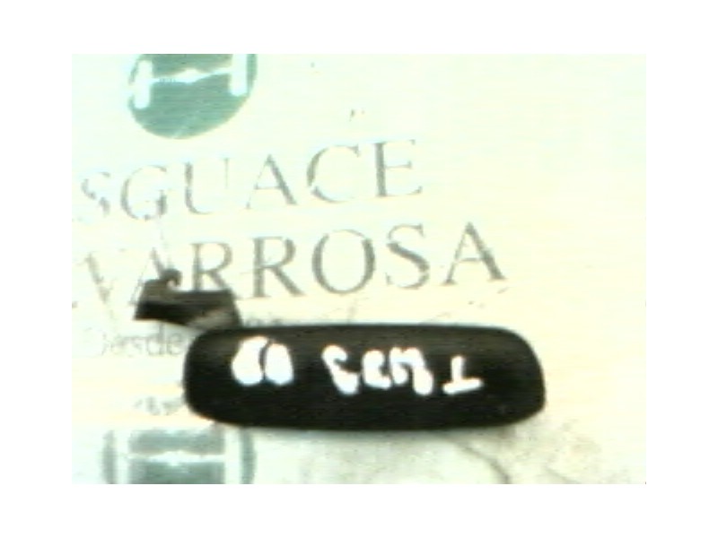 Recambio de maneta exterior delantera derecha para fiat punto berl. (176) 1.2 cat referencia OEM IAM   