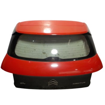 PORTON TRASERO 9800805380 