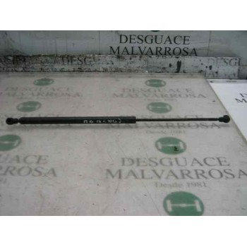 AMORTIGUADORES MALETERO / PORTON 