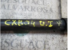 Recambio de amortiguador delantero izquierdo para nissan cabstar 3.0 td referencia OEM IAM    2