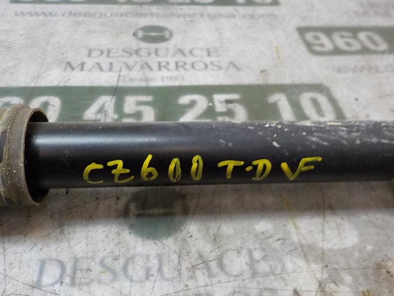 Recambio de amortiguador trasero derecho para volkswagen polo (6c1) edition bluemotion referencia OEM IAM 6C0513025AH  