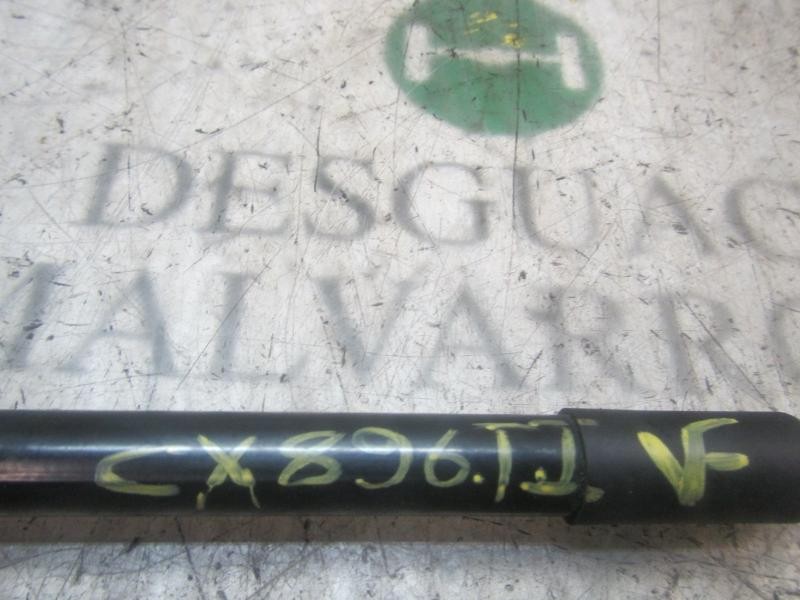 Recambio de amortiguadores maletero / porton para volkswagen polo (6r1) referencia OEM IAM   