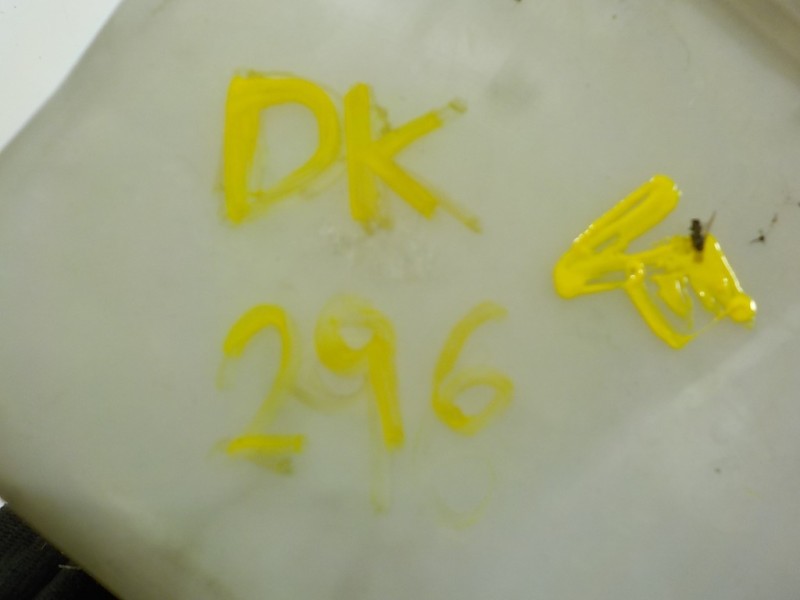 Recambio de deposito limpia para nissan cube (z12) 1.6 16v cat referencia OEM IAM 28910ED00A  