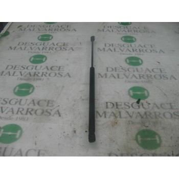 AMORTIGUADORES MALETERO / PORTON 