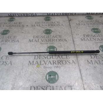 AMORTIGUADORES MALETERO / PORTON 