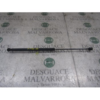 AMORTIGUADORES MALETERO / PORTON 