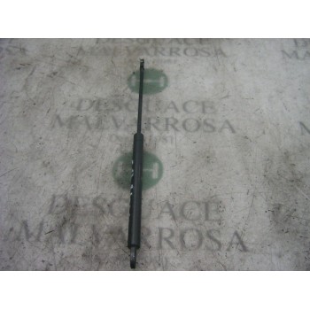 AMORTIGUADORES MALETERO / PORTON 51241960862 