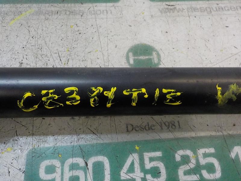 Recambio de amortiguador trasero izquierdo para renault clio iii style referencia OEM IAM   