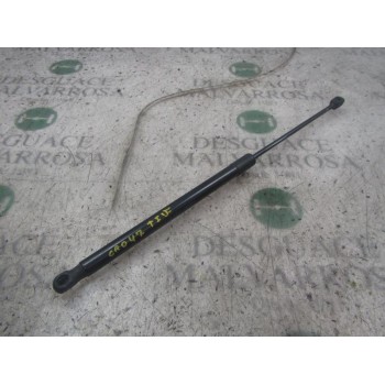 AMORTIGUADORES MALETERO / PORTON 