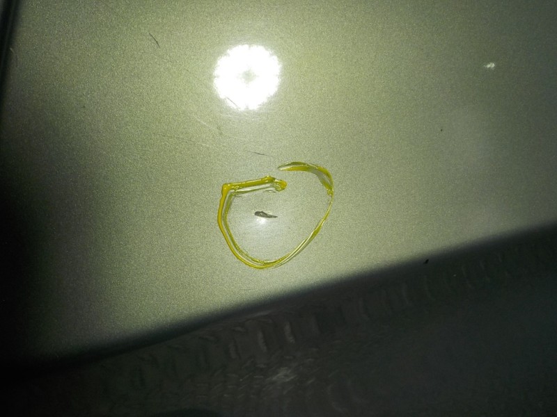 Recambio de puerta trasera izquierda para bmw serie 3 touring (e91) 2.0 16v cat referencia OEM IAM 41009628751  